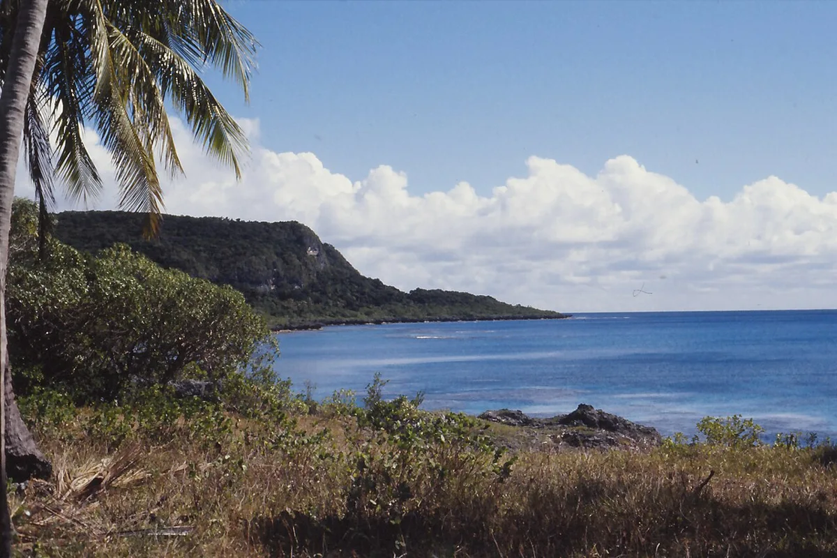 Coastal landscape on Maré in the Loyalty Islands. Geographic context for Nengone; the image does not document language use.